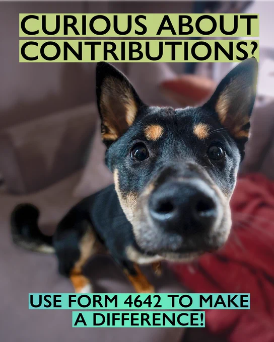 Close up wide angle picture of a dog with the text, Curious About Contributions? Use Form 4642 to make a difference!