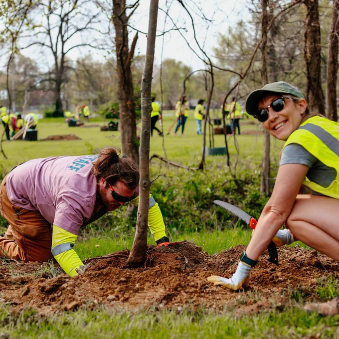 Volunteers planting young trees in a park during a community reforestation event on a sunny day.