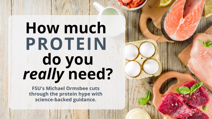 A graphic displaying various protein-rich foods like raw chicken breasts, eggs, salmon, beef, shrimp, and cheese arranged on a rustic wooden table. In the center, a semi-transparent white box contains the text: "How much PROTEIN do you really need? FSU's Michael Ormsbee cuts through the protein hype with science-backed guidance."