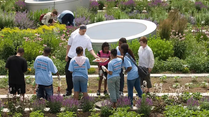 Image credit: ASLA 2010 Professional General Design Honor Award. Gary Comer Youth Center Roof Garden. Hoerr Schaudt Landscape Architects; John Ronan Architects / Scott Shigley