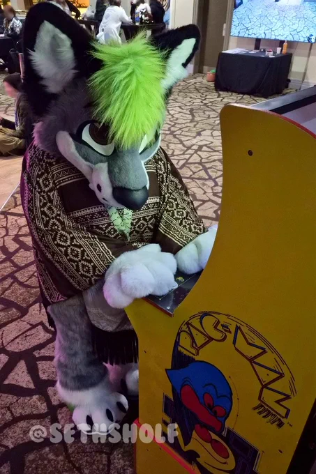 Photo of a grey and white fursuit, with green hair and black ears.
They are playing a Pac-Man arcade machine and are wearing a brown wild west themed poncho, a lanyard with a sushi pattern and a green fursuit trainers.
The text in the bottom left says "@SethSholf".