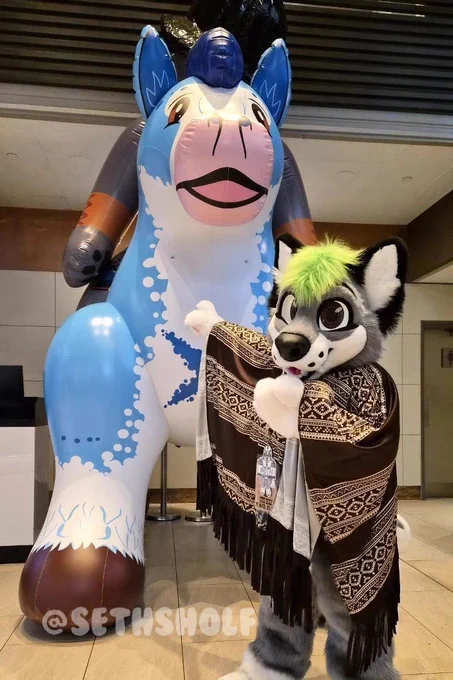 Photograph of a grey and white canine fursuit, with green hair and black ears. They are pointing excitedly at a huge Blue horse inflatable, being ridden by an anthropomorphic Scottish Terrier, which is standing behind them.
The text in the bottom left reads "@SethSholf".