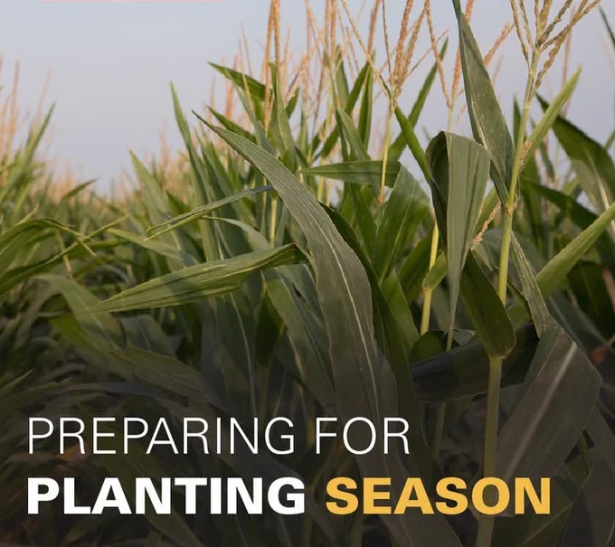 Promotional image for Iowa State University Extension and Outreach's publication, "Corn Growth and Development."
