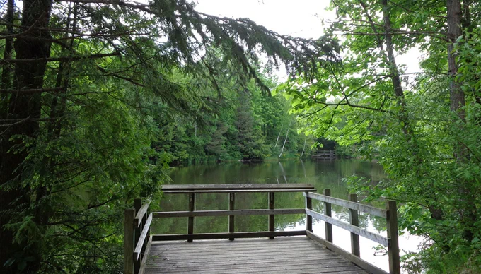 Wooden viewing platform surrounded by lush green trees, overlooking a calm, reflective lake.