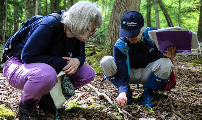 Two people are crouching in a forest, examining the soil and tree roots.