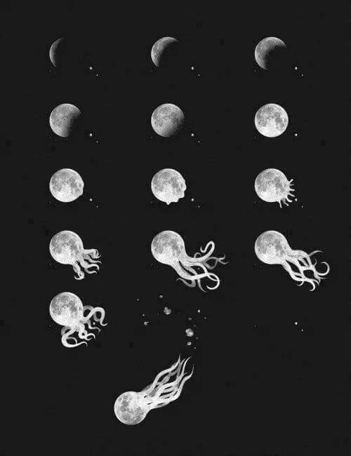 multi-panel illustration of moon morphing into an octopus which swims away