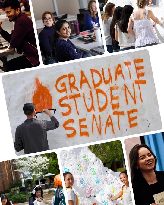 A collage shows various scenes: individuals engaged in a discussion, smiling, and studying in an indoor setting; outdoor painting of a large rock with "Graduate Student Senate" written in orange; another outdoor group decorating the rock with colorful handprints; and a person speaking animatedly.