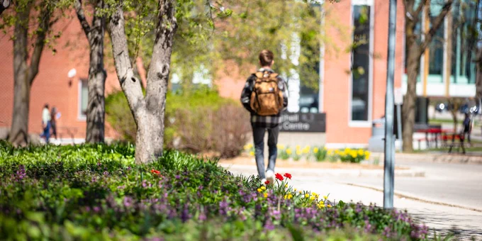 A person with a backpack walks on a path by a garden with red and yellow flowers. The scene is bright with spring foliage and a brick building.
