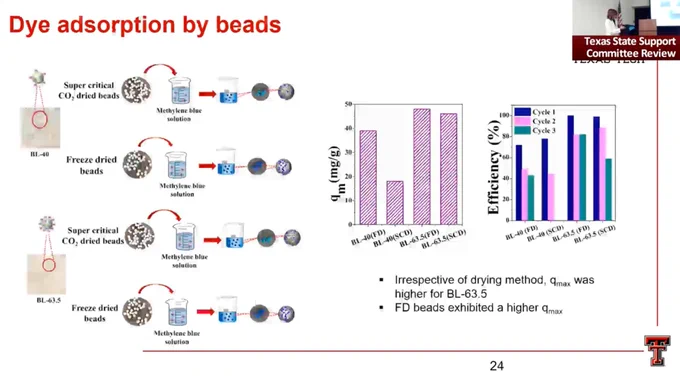 Developing Bioproducts from Low Maturity Cotton and Cotton Wastes