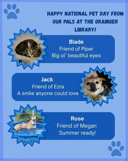 National Pet Day poster 1

Poster showcasing Grainger pets Blade, Jack, and Rose. 