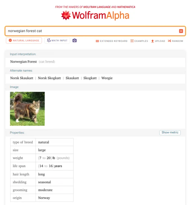 Wolfram|Alpha results for input "Norwegian forest cat" featuring a picture and general information about this breed of cat.