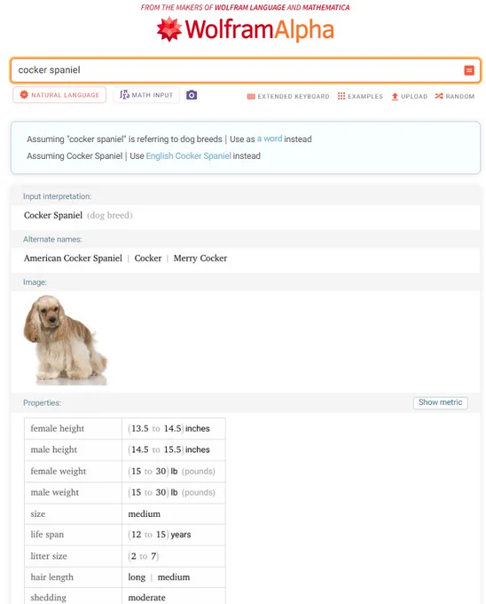 Wolfram|Alpha results for input "cocker spaniel" featuring a picture and general information about this breed of dog.