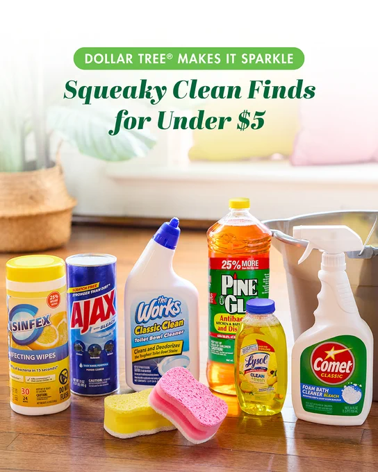 Assortment of cleaning products including wipes, sprays, and sponges arranged on a wooden floor in a bright living room.