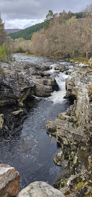 A small waterfall running near Loch Ness, surrounded by birch trees and pines.