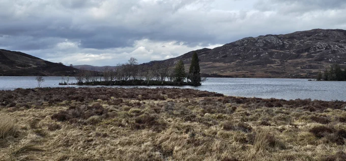 A small Loch and a tiny island with a few pine and birch trees at its center. Heavy clouds make it look like it's about to rain.
