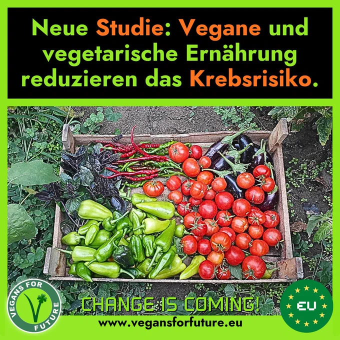 Text: "Neue Studie: Vegane und vegetarische Ernährung reduzieren das Krebsrisiko."

Auf dem Bild sieht man eine Holzkiste mit frisch geerntetem Gemüse.