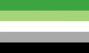bandeira arromântica
6 listras horizontais nas seguintes cores:
verde escuro
verde claro
branco
cinza
preto