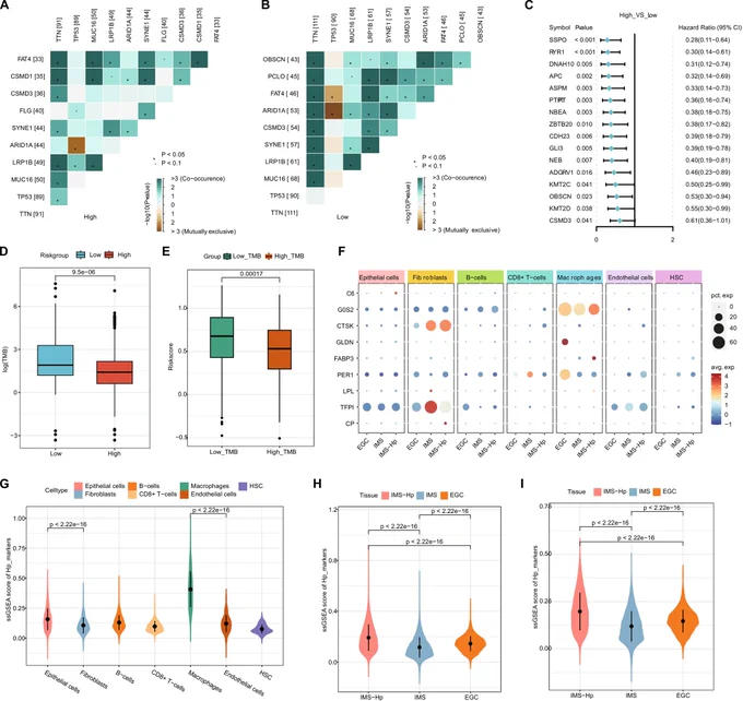 Tian et al., Cancer Reports, 2026; https://doi.org/10.1002/cnr2.70511