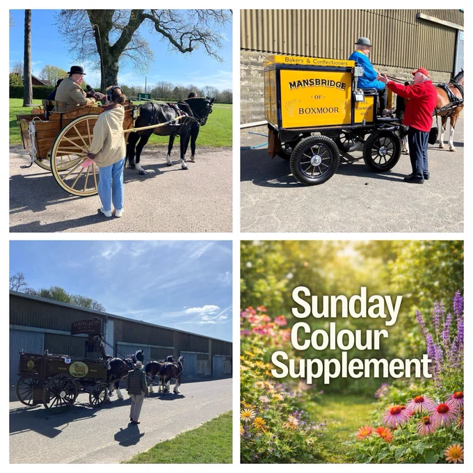 Square collage graphic made up of four images. Three photos show vintage horse-drawn carts and carriages at an outdoor event, with people standing nearby in a sunny rural setting. The fourth image, in the bottom right, features a colourful garden scene with flowers and the words “Sunday Colour Supplement” in large white text.