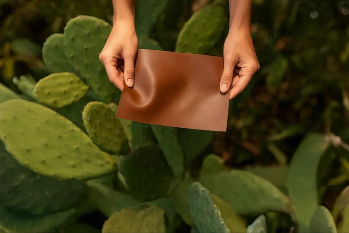 In a high-end fashion store or luxury car showroom, the term ‘vegan leather’ sends a strong message of quality. For many shoppers, it promises the look and feel of real leather without using animal skins. As brands move away from animal leather, ‘vegan’ has come to suggest something that is both kinder to animals and better for the planet.