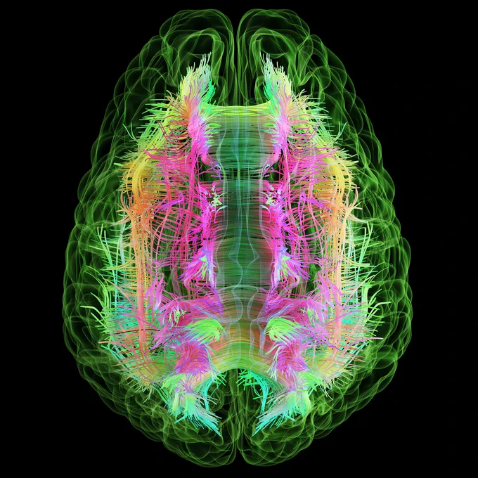 Image of illuminated brain illustration/scan