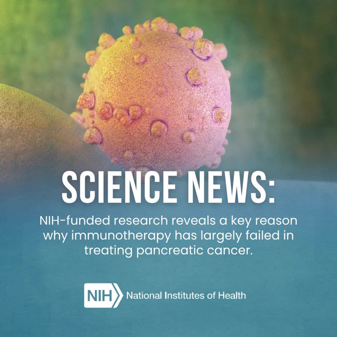 A close-up illustration of a cell with text overlay: "Science News: NIH-funded research reveals a key reason why immunotherapy has largely failed in treating pancreatic cancer." NIH logo included.