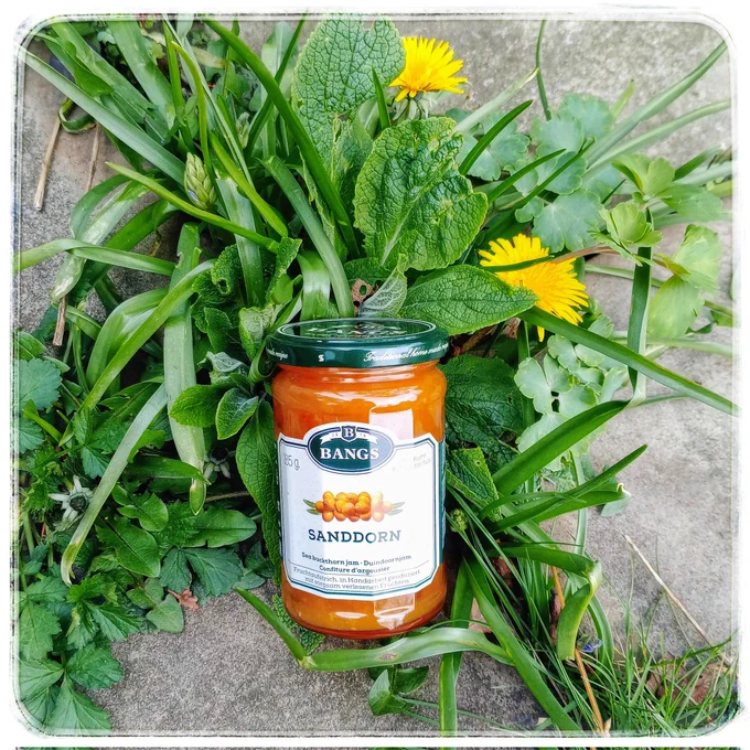 A glass jar of posh jam nestled amongst the happy weeds of the garden path for to take its picture 