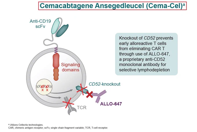 WOW! Allogene Therapeutics has just reported top tier clinical data from its Phase 2 ALPHA3 trial aimed to evaluate cema‑cel - Allogene’s allogeneic CD19 CAR T Cell Therapy for first-line (1L) consolidation in large B-cell lymphoma (LBCL) cancer. A huge milestone for allogeneic Cell Therapies!
