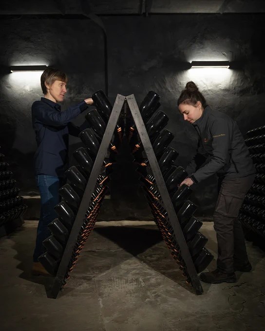 Two people performing remuage on an A‑frame riddling rack in the cellar at Castello Pomino, rotating dark glass bottles by hand in a dimly lit stone room.
