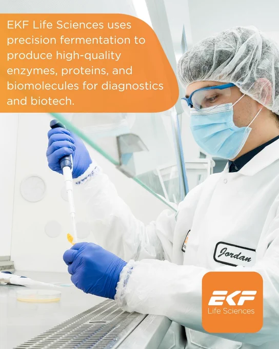Scientist in lab coat and gloves using a pipette for enzyme production at EKF Life Sciences lab.
Text: "EKF Life Sciences uses precision fermentation to produce high-quality enzymes, proteins, and biomolecules for diagnostics and biotech".