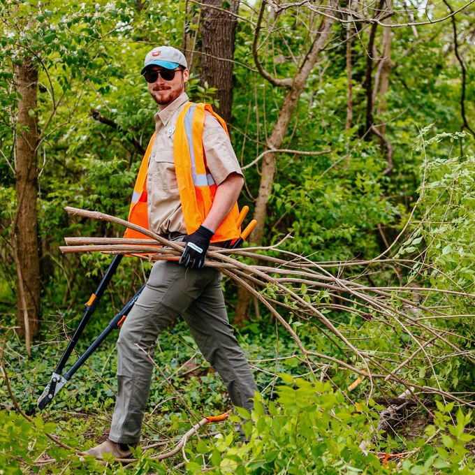Two workers clearing branches and debris from a forest path, one carrying cut branches and the other walking behind with gloves.