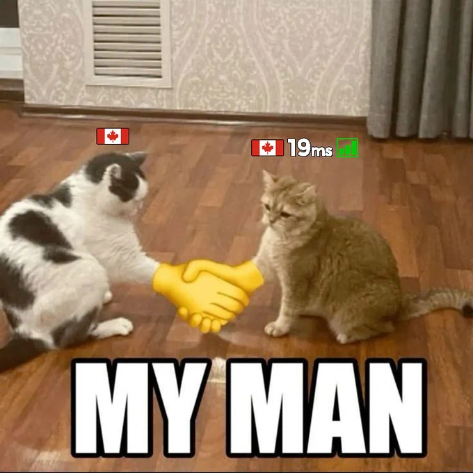 two cats with giant emoji hands handshaking, one has 19ms ping. both are canadian. Bottom Text: MY MAN