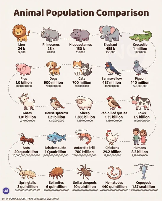 🖇️ Source: VGraphs