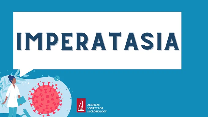 #LabWeek may be over but we still owe you one answer! The correct answer to yesterday's anagram is 🥁 Parasitemia! Thanks for participating in this week’s anagrams!
#ASMClinMicro #Lab4Life
