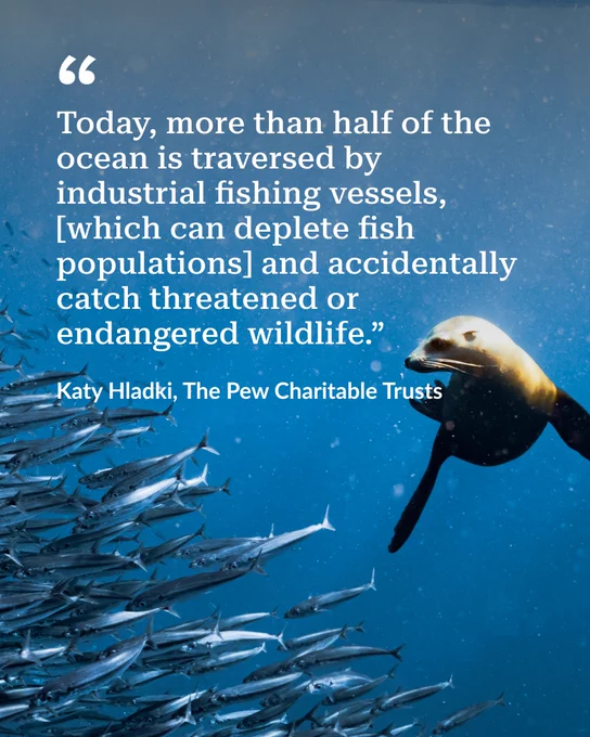Quote about industrial fishing vessels depleting fish and harming endangered wildlife overlaid on underwater scene with sea lion and fish school.