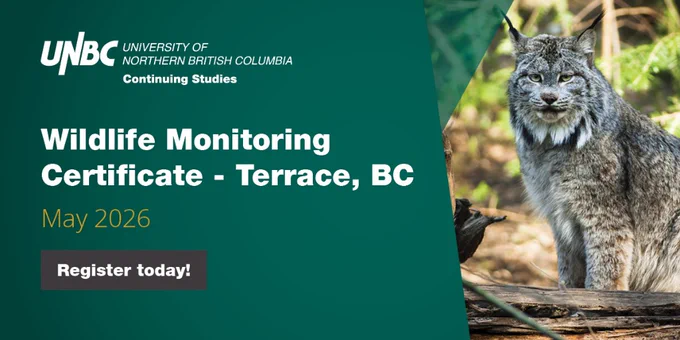 The image shows a promotional banner for the University of Northern British Columbia Continuing Studies. It features a bobcat in a forest setting. The text announces a "Wildlife Monitoring Certificate - Terrace, BC" for May 2026, with a "Register today!" button.
