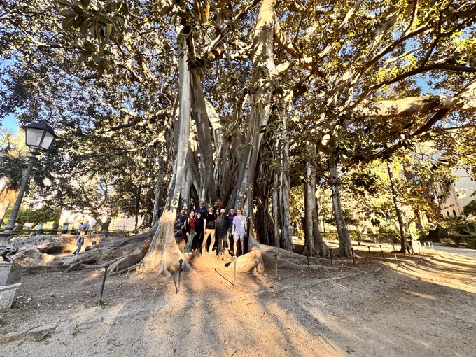 Big ass tree with a group of people