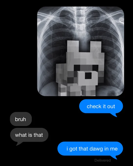 Phone text message conversation, starting from the top down we have an image of an x-ray with a minecraft baby wolf inside, the conversation after follows: "Check it out" "bruh, what is that" "I got that dawg in me"