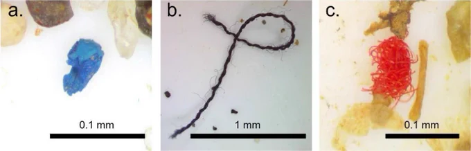 Microplastic pieces