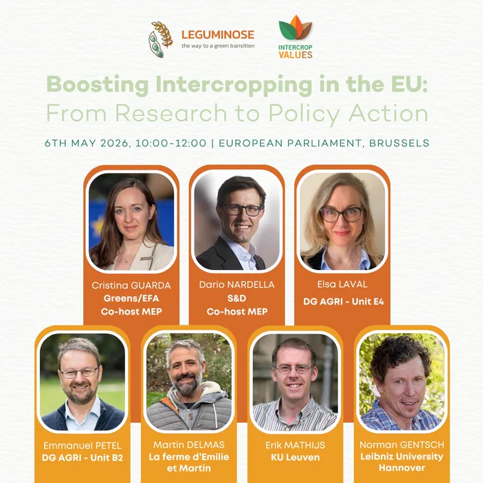 Event poster titled “Boosting Intercropping in the EU: From Research to Policy Action,” featuring LEGUMINOSE and IntercropVALUES logos, event details (6 May 2026, European Parliament, Brussels), and speaker details.
