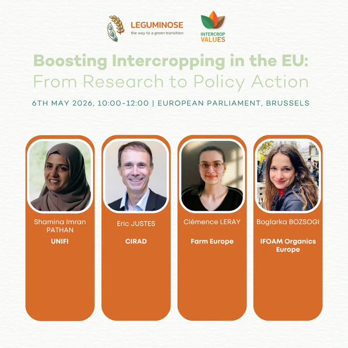 Event poster titled “Boosting Intercropping in the EU: From Research to Policy Action,” featuring LEGUMINOSE and IntercropVALUES logos, event details (6 May 2026, European Parliament, Brussels), and speaker details.