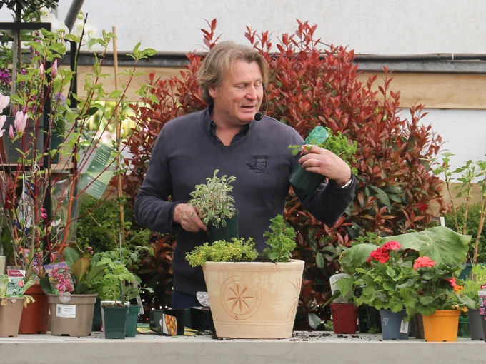 David Domoney during his planting demo which was packed with practical tips, planting hacks and audience involvement. 