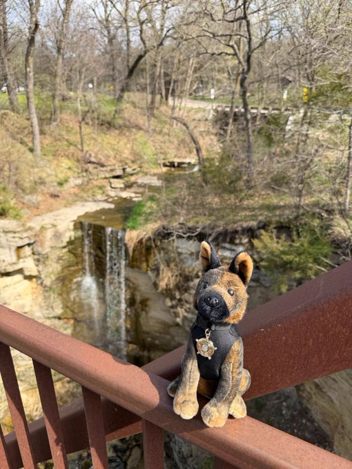 Scout on fence looking over a waterfall.