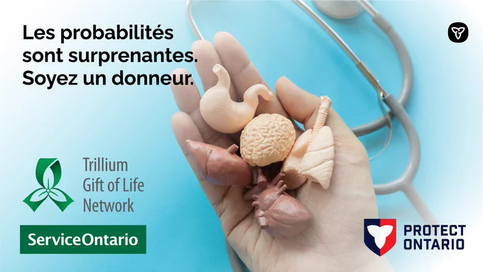 Une main tient plusieurs organes internes au-dessus d’stéthoscope.
Copy: Les probabilités sont surprenantes. Soyez un donneur.