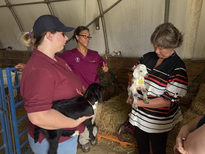 UMES Small Ruminants program staff show Dr. Barb Glenn (right) a newborn goat.