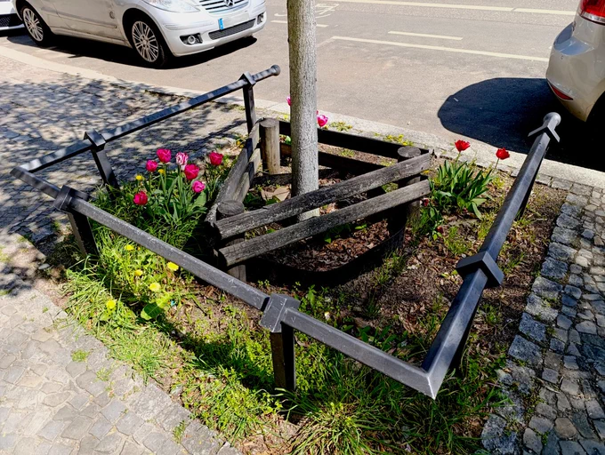 Baumscheibe, auf der Tulpen und Löwenzahn blühen.