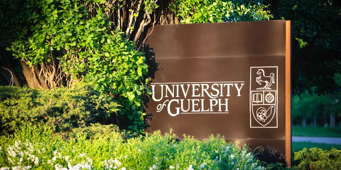 The University of Guelph sign stands among green and white foliage on a sunny day. 