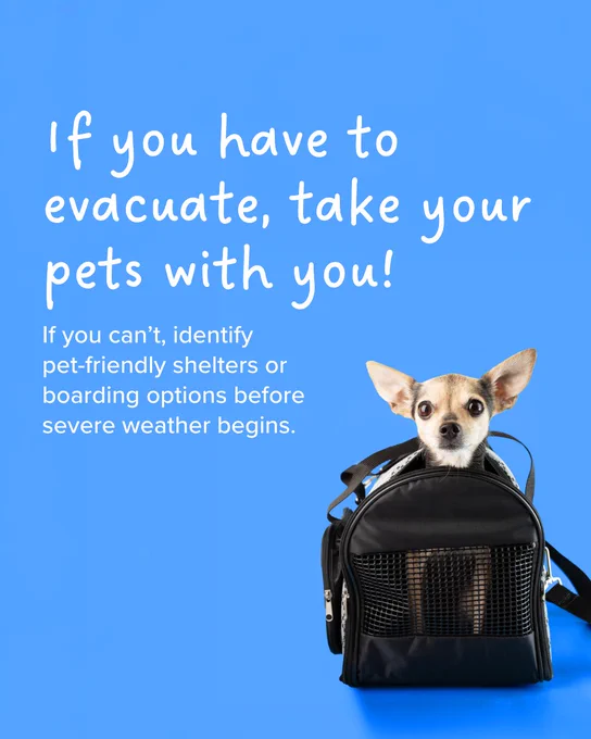 A small dog in a pet carrier against a blue background. Text on the image reads: "If you have to evacuate, take your pets with you! If you can’t, identify pet-friendly shelters or boarding options before severe weather begins.