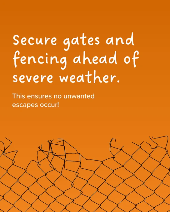 A damaged chain-link fence against an orange background with text advising to secure gates and fencing ahead of severe weather to prevent escapes.