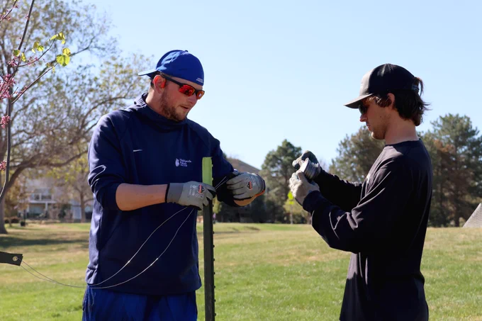 Two men working together to tie tree wire around a metal stake in grass lawn.